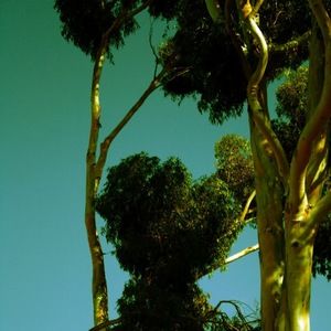 Meet your Posher, Sherry